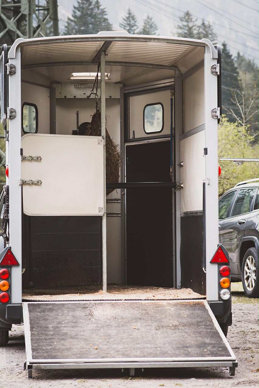 hestevenlig trailerlæsning og trailertræning på hestens præmisser