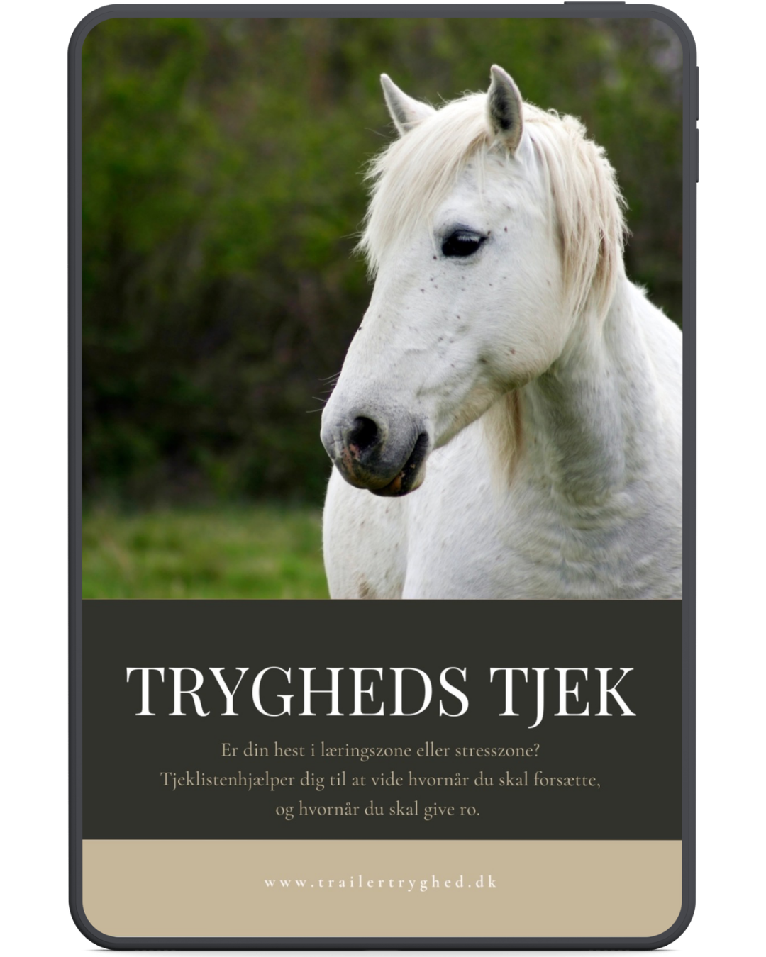 TrailerTryghed Indefra - Billede 4