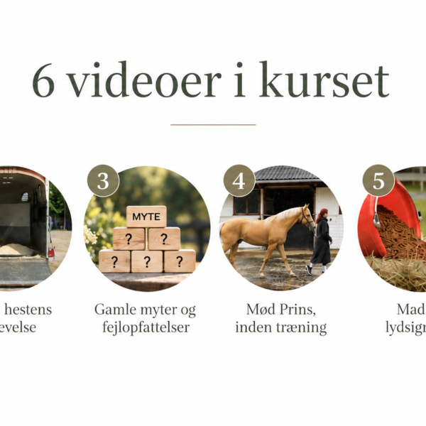 VideoindholdTTI