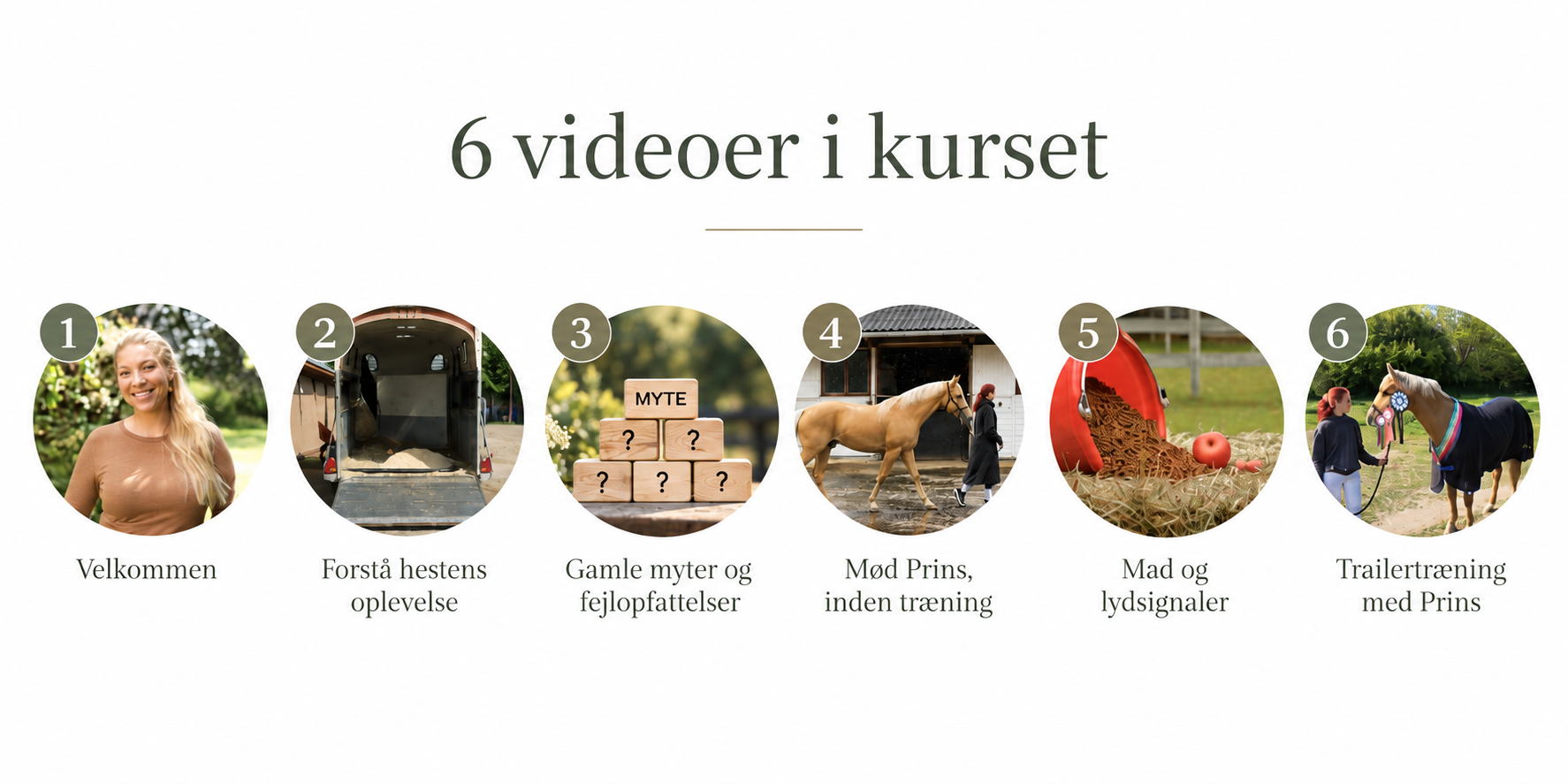 TrailerTryghed Indefra - Billede 2
